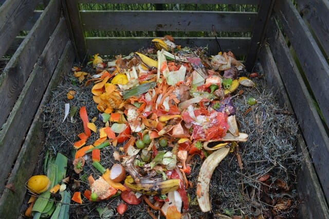 Citrus peels, which obviously includes orange peels and all citrus fruits are good for your compost pile.