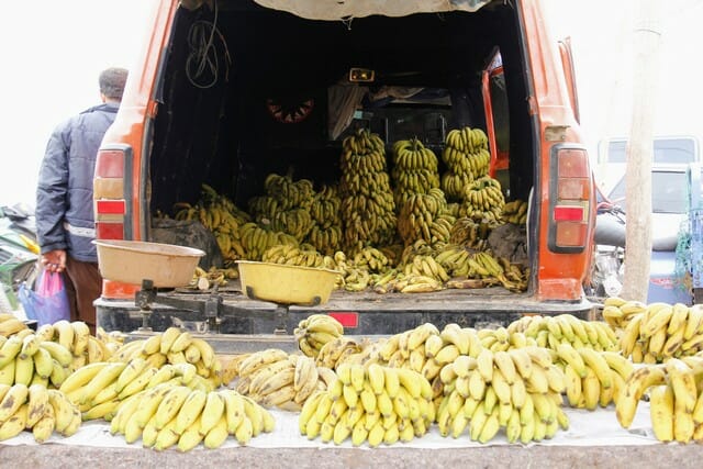 Whole bananas can also be used for composting.