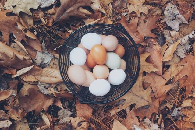 Add egg shell to your compost pile and help make your garden happy.