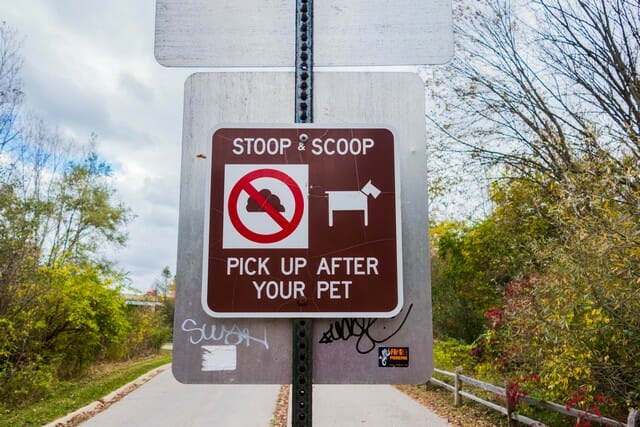 Dog feces should be put in a poop bag.